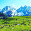 Jammu